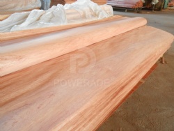 Bintangor Veneer