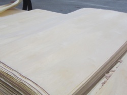 BIRCH VENEER