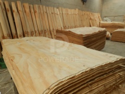 Pine veneer