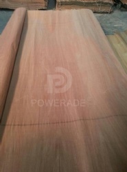 GUM veneer