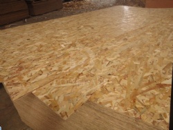 OSB