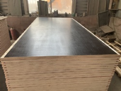 Container Floor